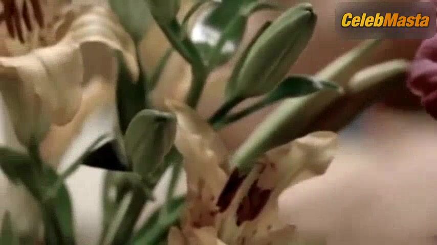 Brigitte Lahaie Tits Scene From Sechs Schwedinnen Von Der - Photo 1 of 5 photo 5