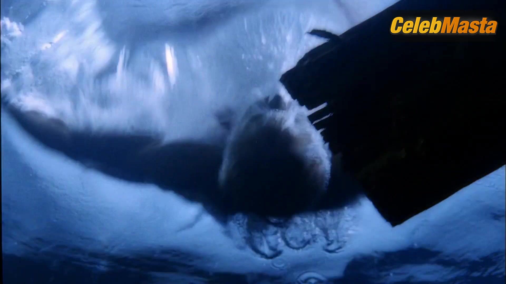 Erica Durance Swimsuit Scene In Smallville - Photo 2 of 5