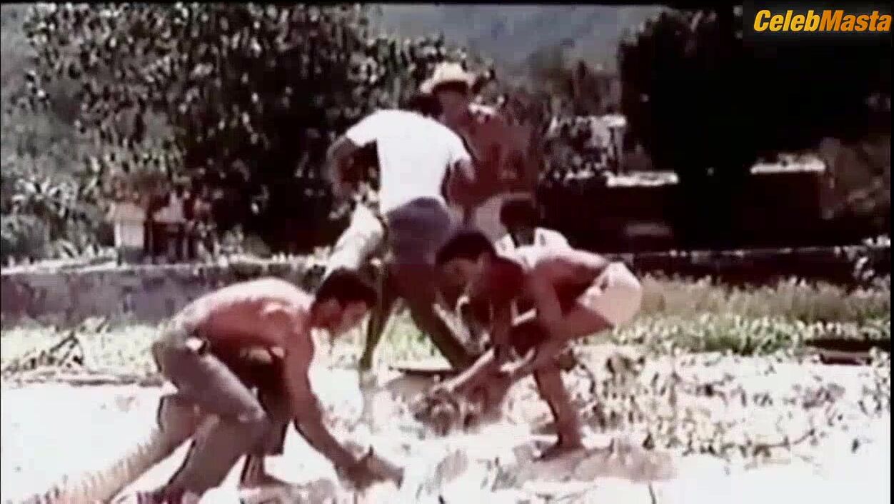 Laura Gemser ’s Ass, Tits Scene In Amore Libero - Photo 2 of 5 photo 4