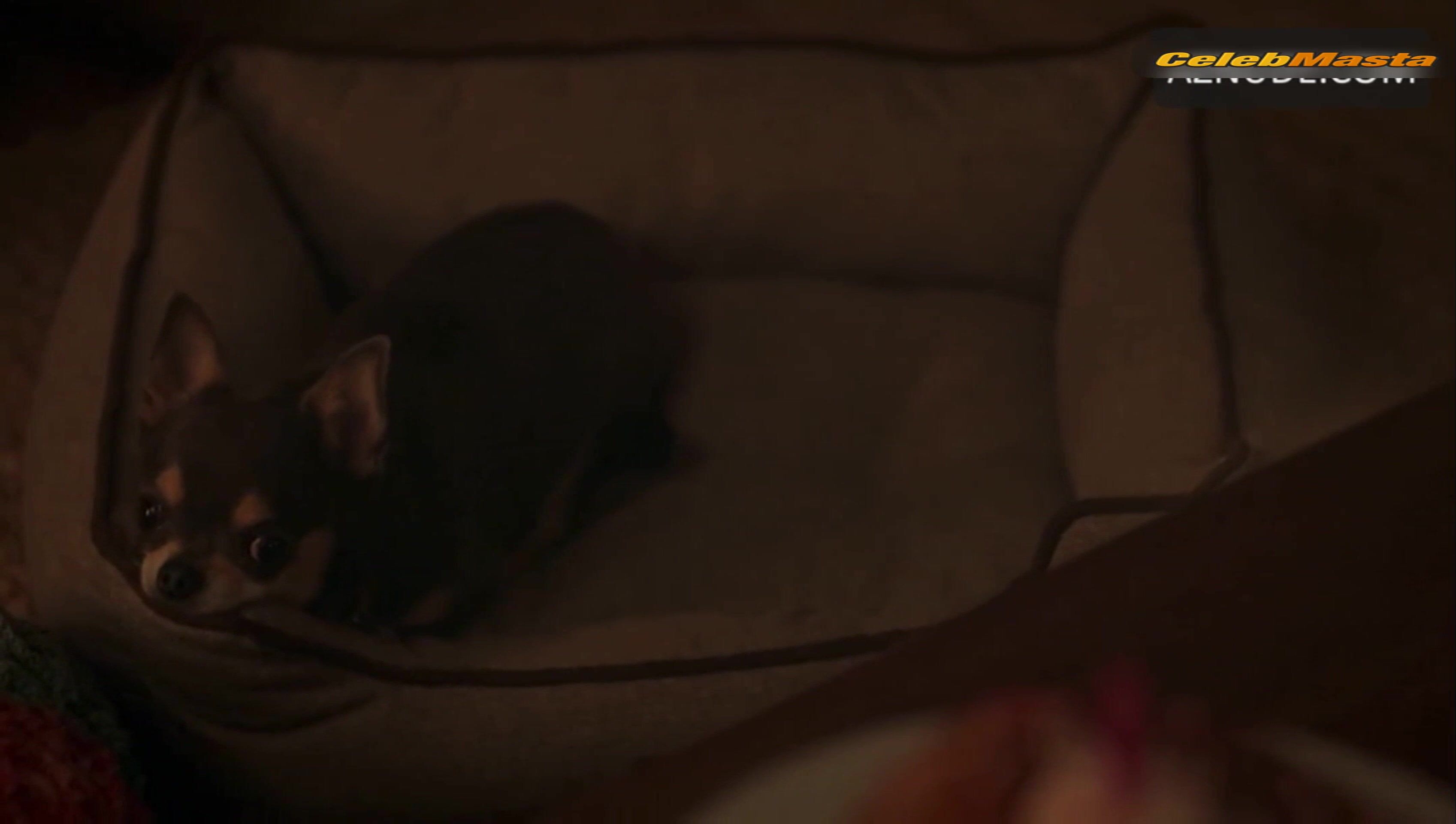 Gina Rodriguez Bares Sexy Scene In Will Trent - Photo 4 of 5