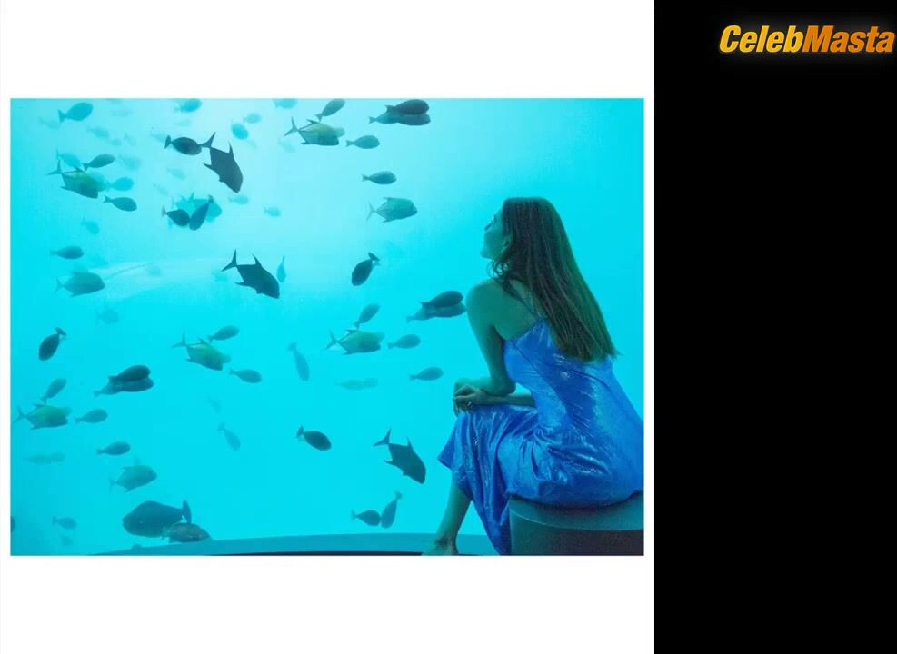 Kajal Agarwal Tits Scene, Kajal Aggarwal Hot Sexy Bold - Photo 1 of 5 photo 2
