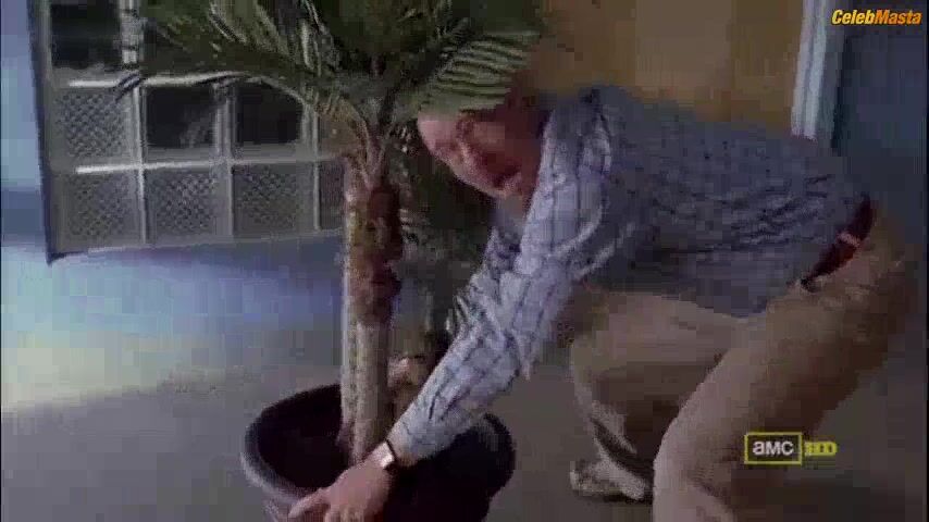 Anna Gunn Bares Boobs Scene In Breaking Bad - Photo 2 of 5 photo 1