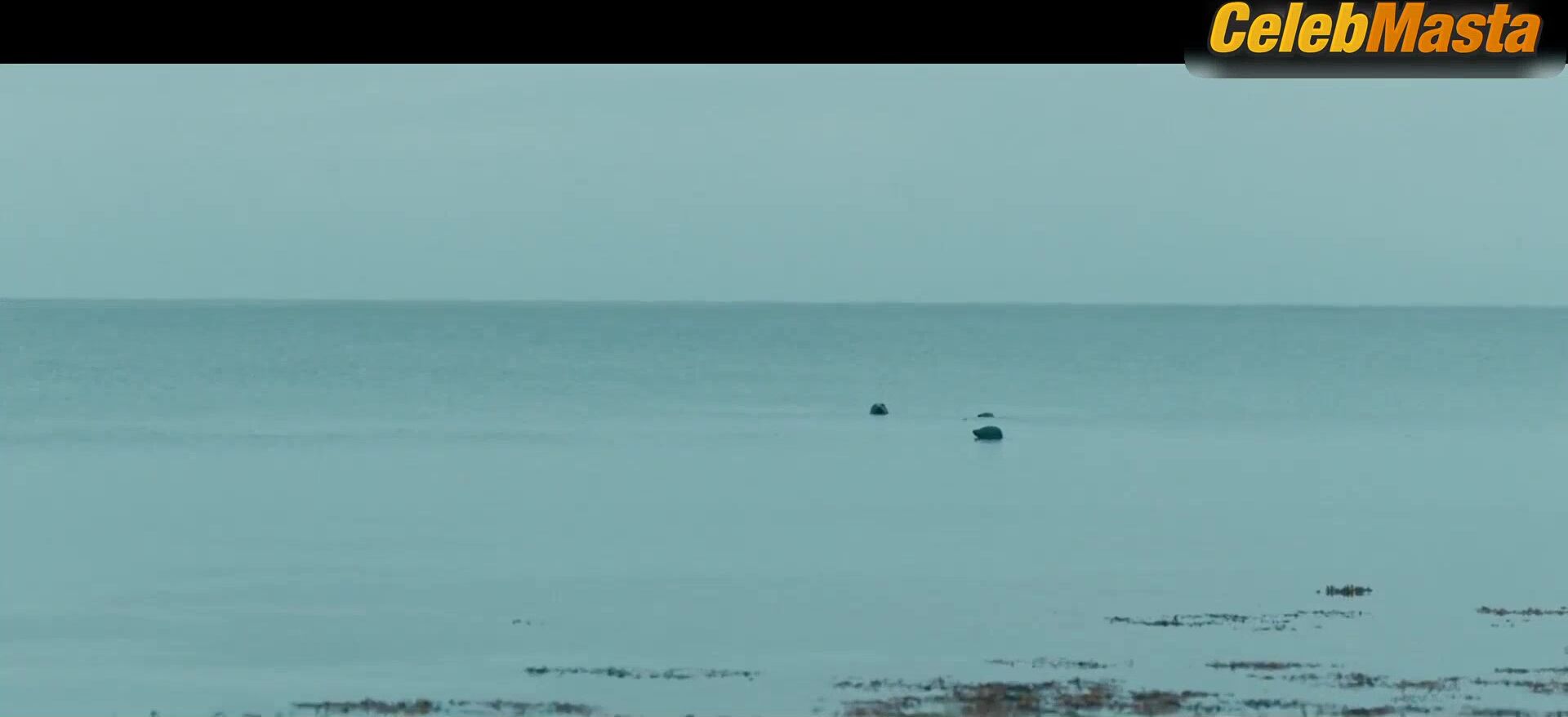 Saoirse Ronan Hot Scene In The Outrun - Photo 2 of 5 photo 4
