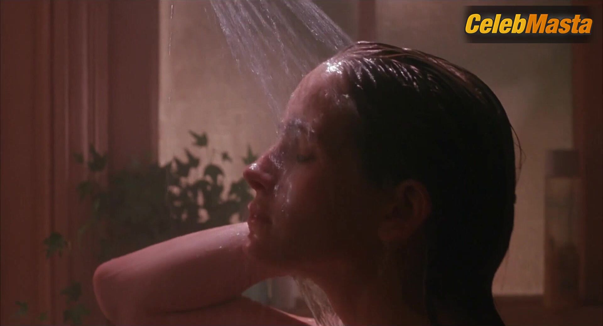 Julia Roberts Sexy Scene From Sleeping With The Enemy - Photo 2 of 5 photo 1