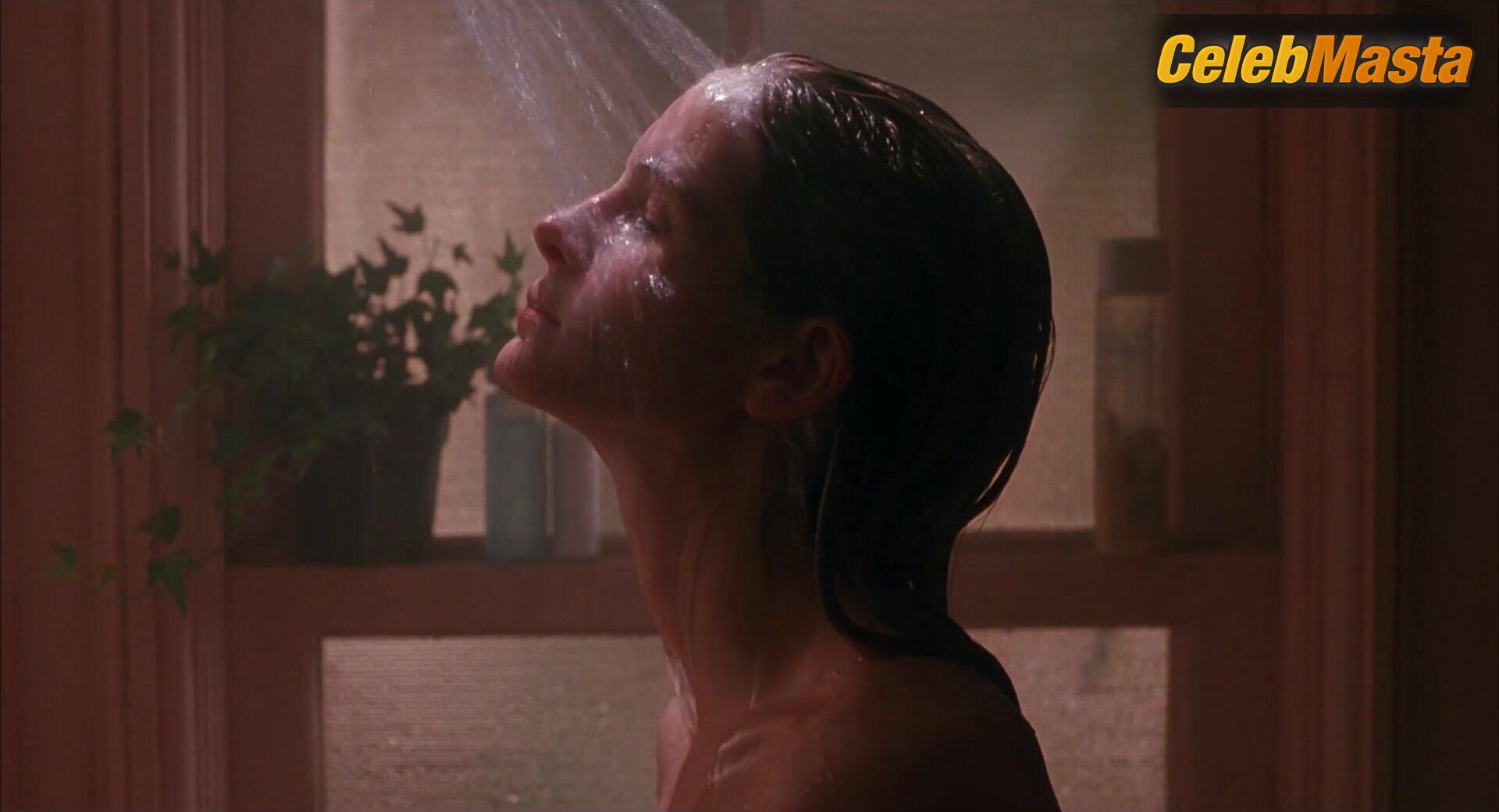 Julia Roberts Sexy Scene From Sleeping With The Enemy - Photo 2 of 5