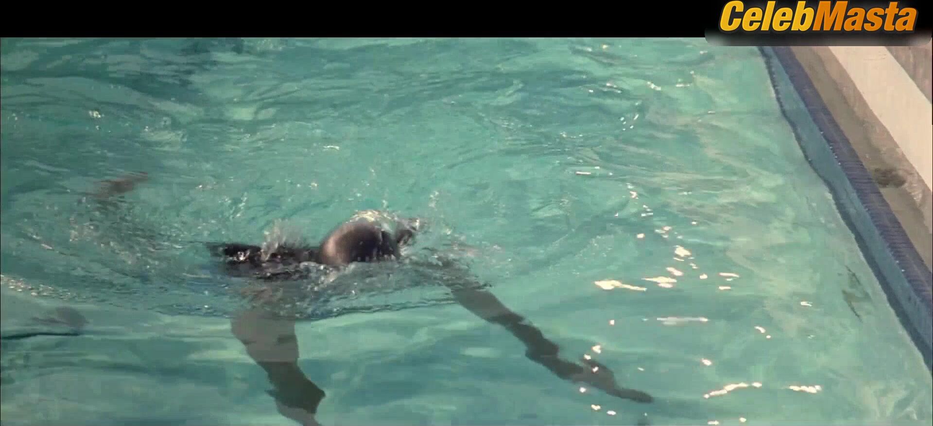 Denise Richards Reveals Boobs Scene In Wild Things - Photo 2 of 5 photo 1