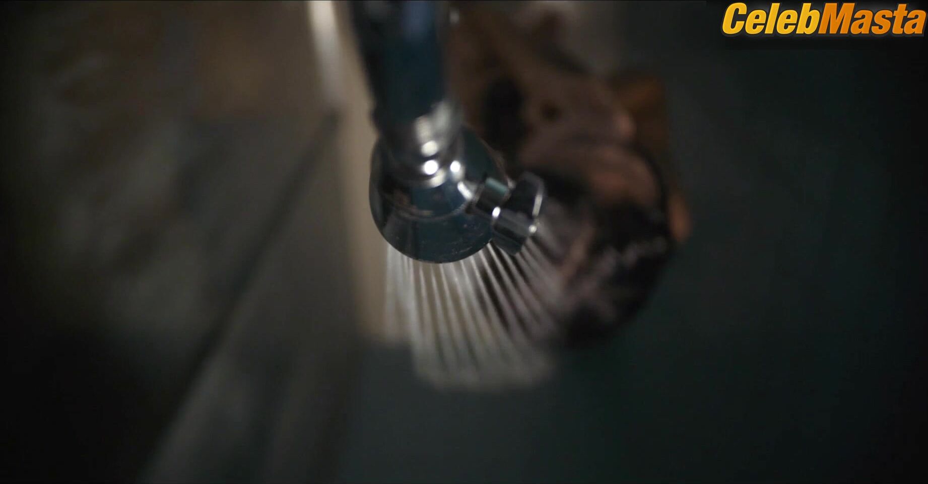 Elodie Yung ’s Sexy Scene From The Cleaning Lady - Photo 2 of 5 photo 5