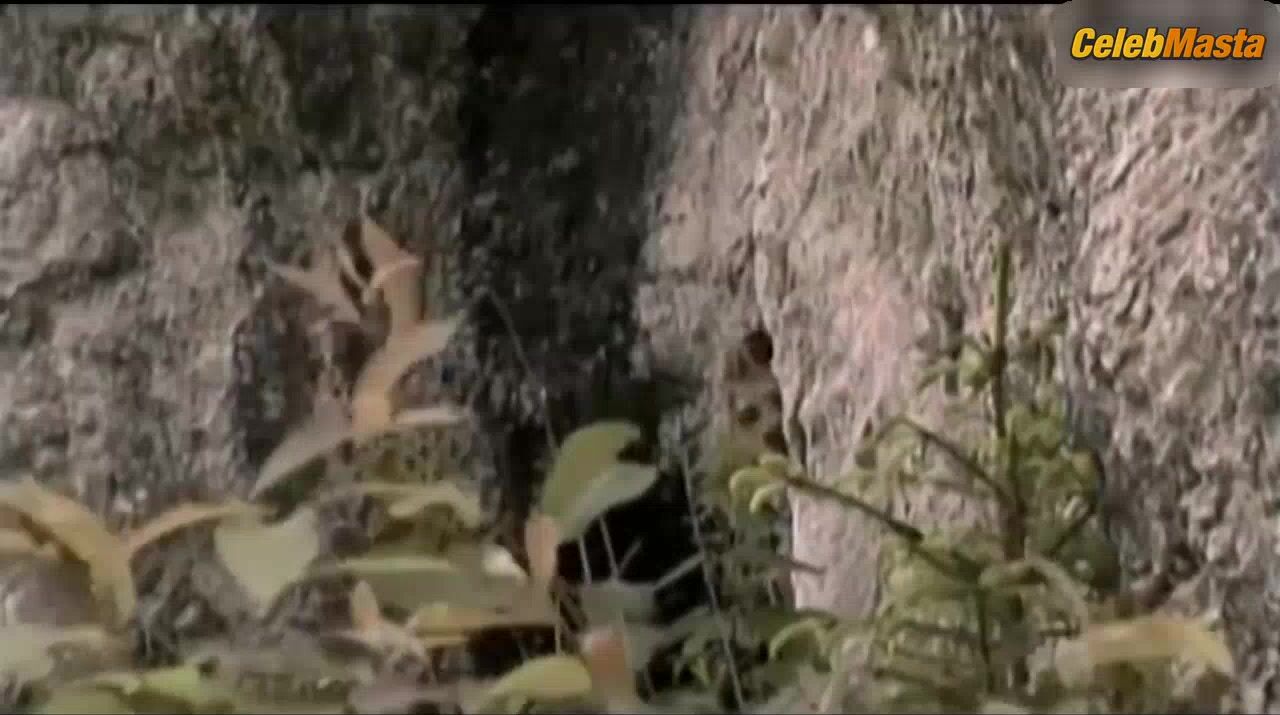 Vica Kerekes Tits, Bush Scene From Boszorkanykor - Photo 2 of 5
