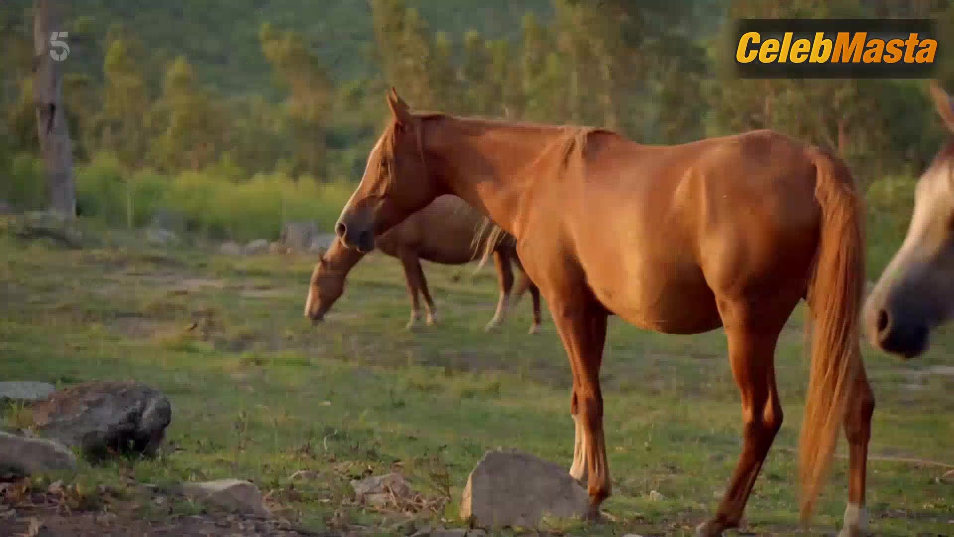 Rhona Mitra Sex Scene From Ben Fogle New Lives In The - Photo 1 of 5 photo 4