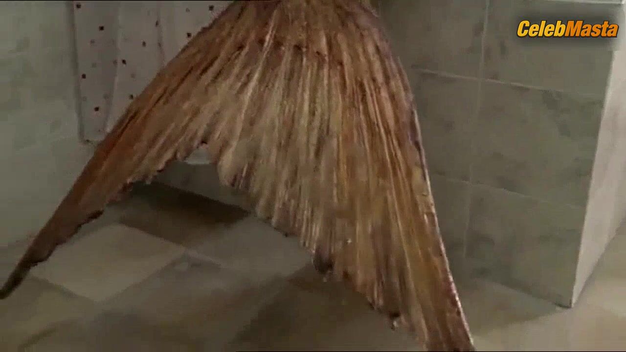 Phoebe Tonkin Enticing Scene In H2o Just Add Water - Photo 1 of 5 photo 5