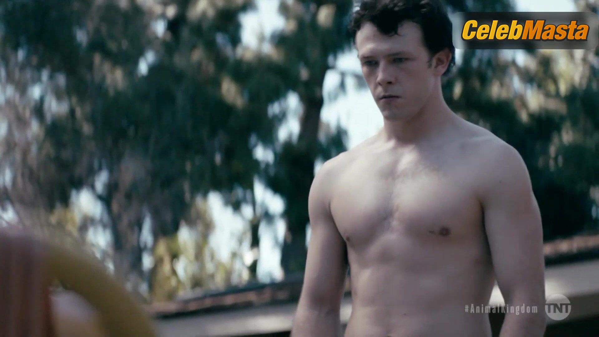 Leila George Swimsuit Scene In Animal Kingdom - Photo 2 of 5