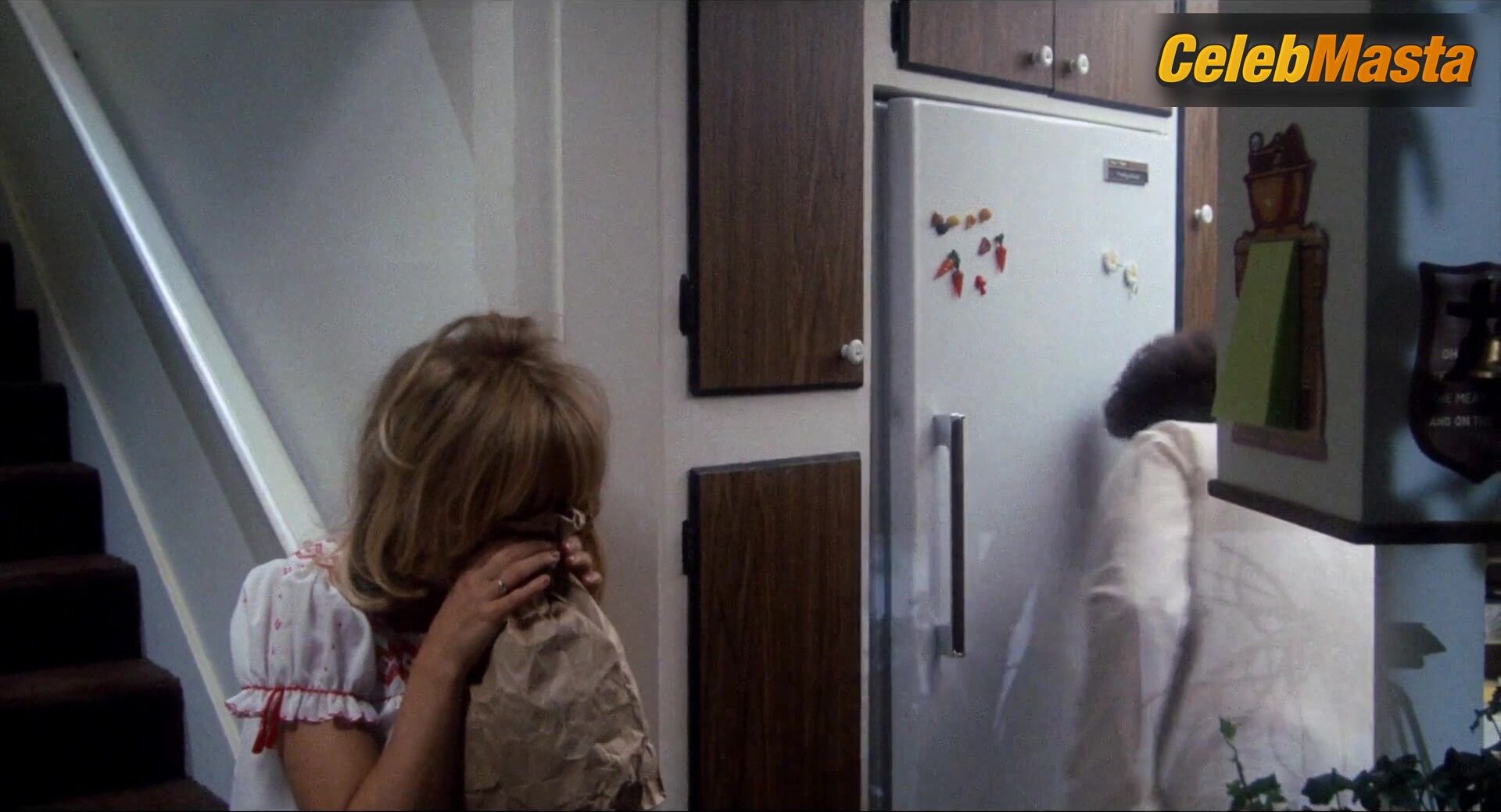 Goldie Hawn ’s Underwear Scene From Shampoo - Photo 1 of 5 photo 2