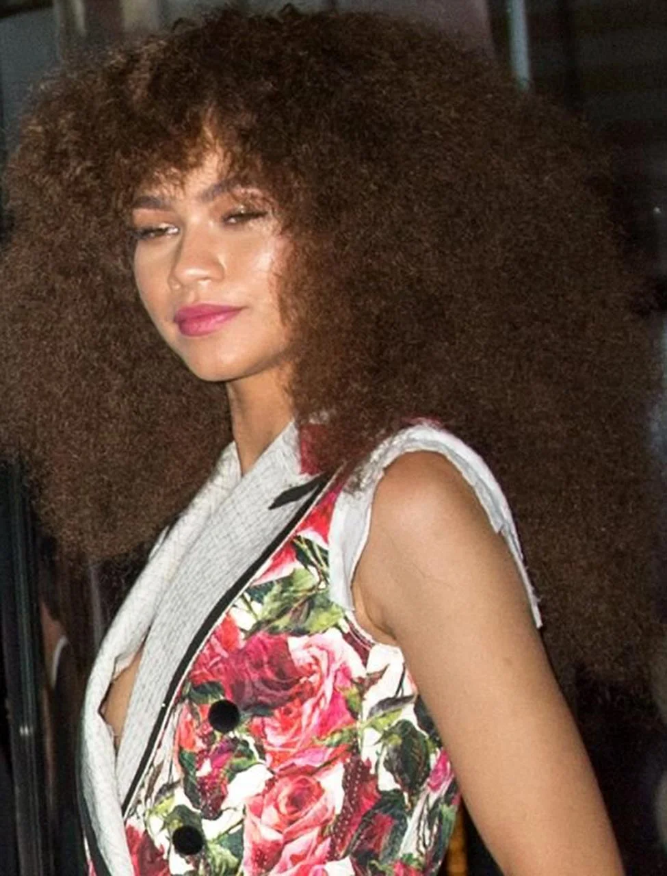 Zendaya Zendaya Naked Photo Gallery - Photo 59 of 63