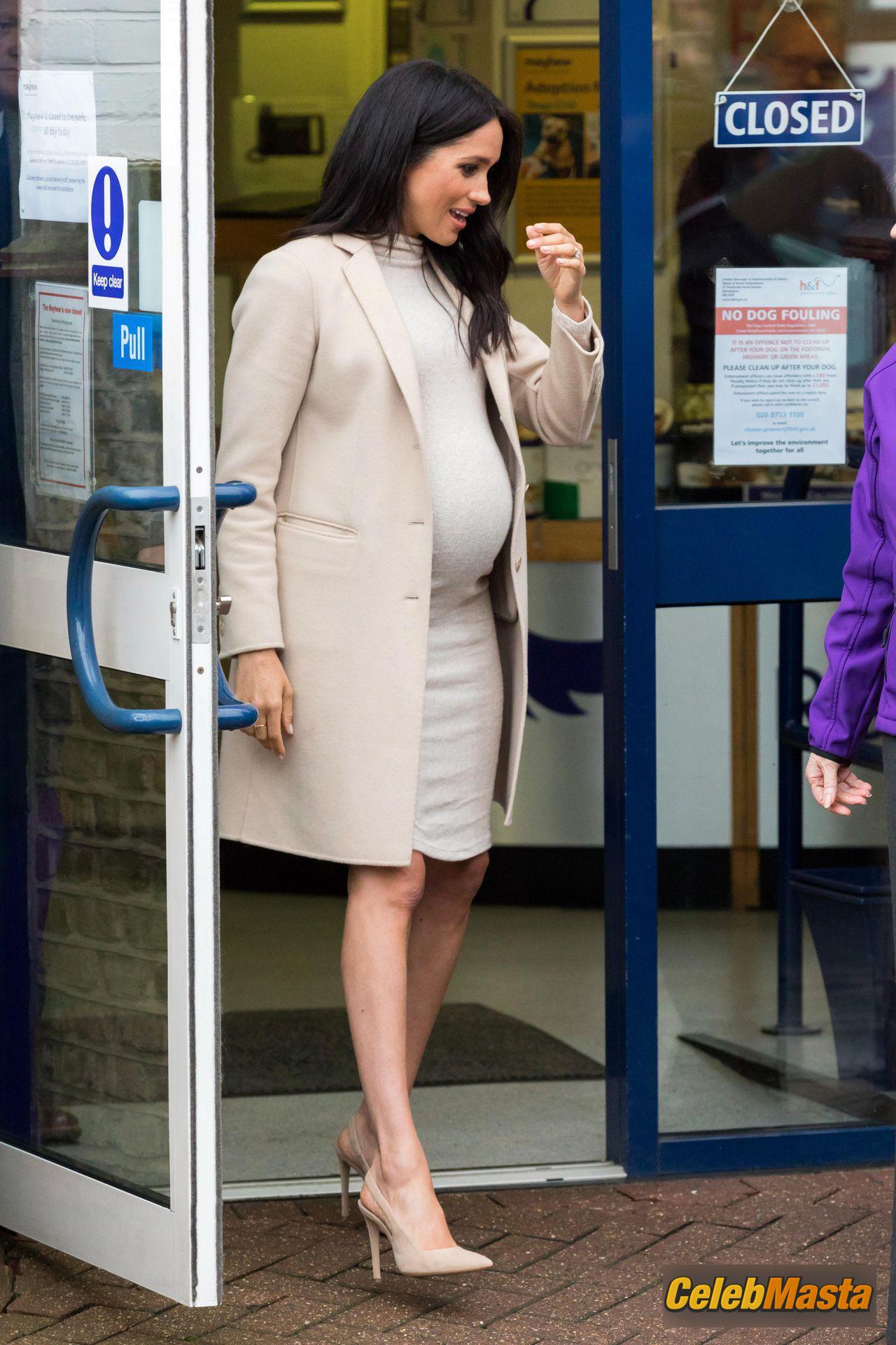 Meghan Markle Pics: Sexy Seen Leaving The Mayhew Animal Home In London photo 1