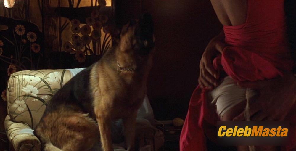 Phoebe Cates Photos from I Love You To Death photo 2