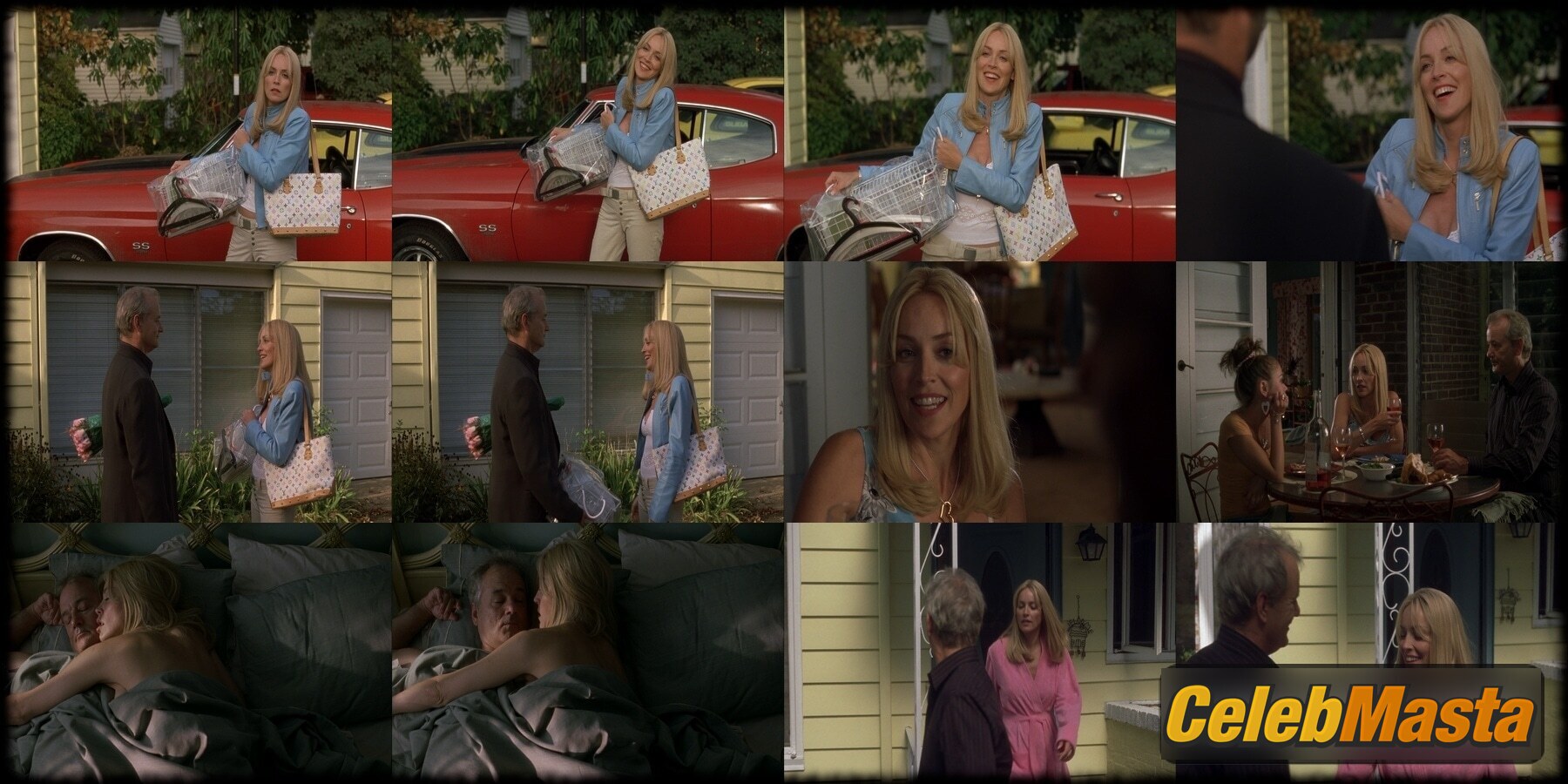 Sharon Stone Scene Photos Gallery from Broken Flowers photo 1