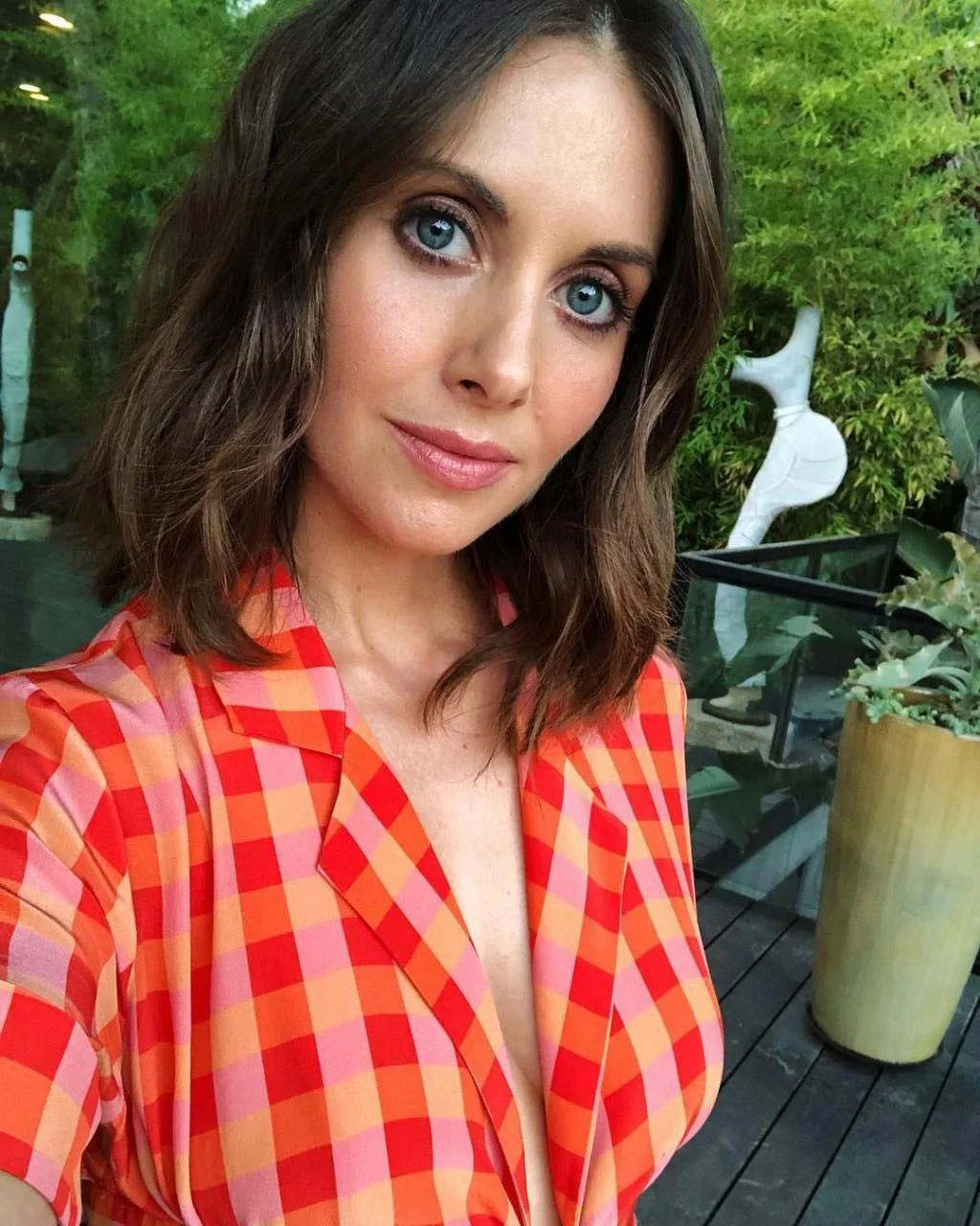 Alison Brie Alison Brie Nude Photo Collection - Photo 23 of 36